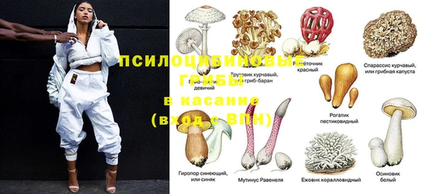 ECSTASY Балахна